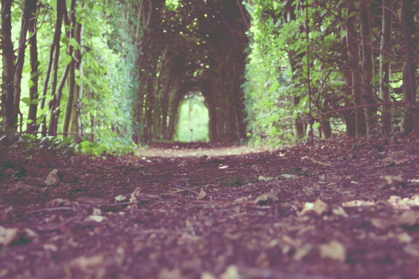 Officiis quam fuga enim quis possimus soluta eius expedita ut aut aliquam